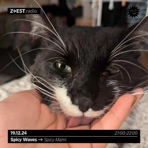 Soundcloud podcast image for
