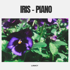 iris - piano