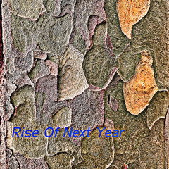 Rise Of Next Year
