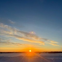 Separated - IAMNOBODI x terrikistaken - SHOGUN