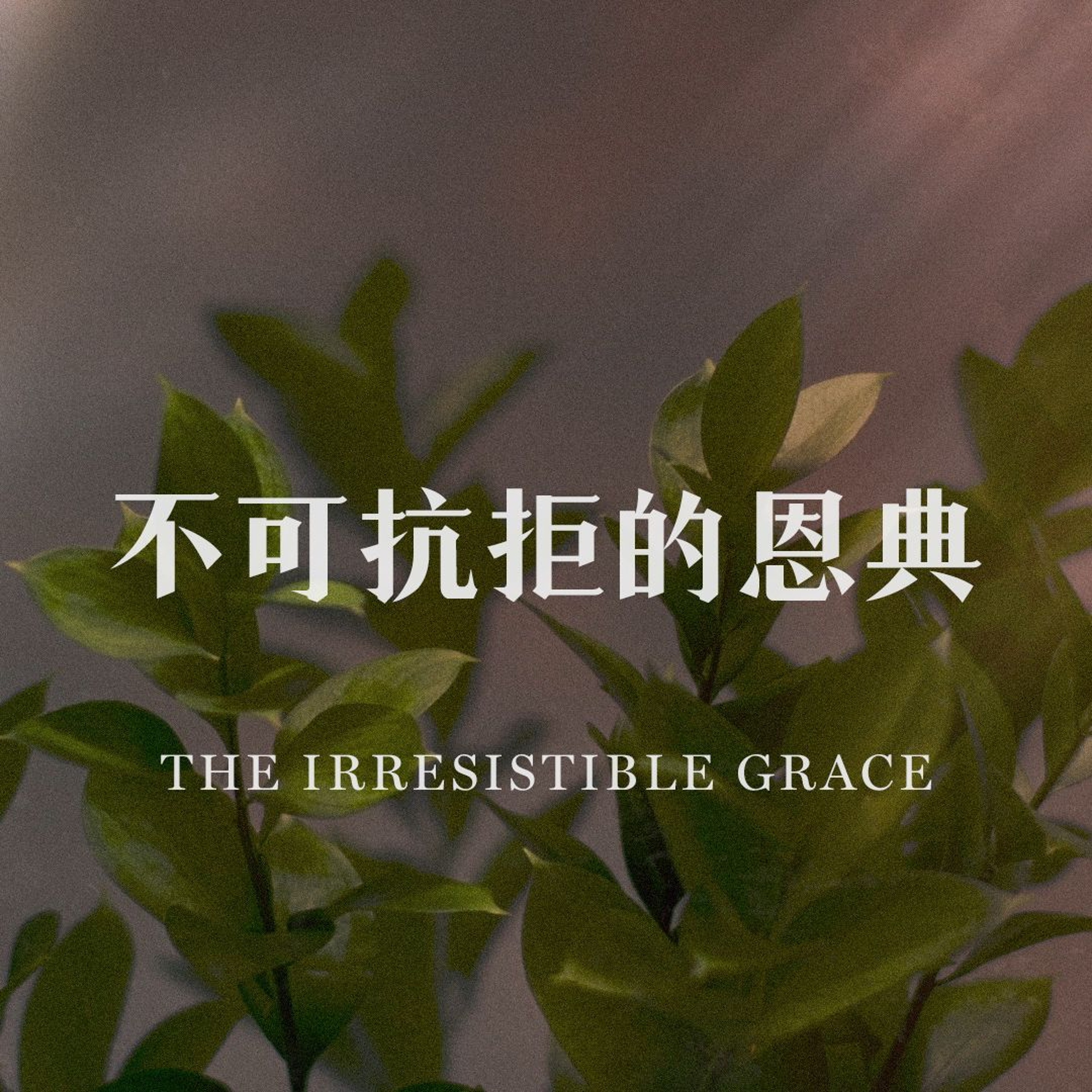 08/04/2024 【罗马书】不可抗拒的恩典（罗 8:31-34）——王唯权 牧师 episode artwork