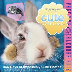READ [PDF] Cute Overload 2012 Page-a-Day Calendar full