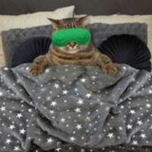 Kat Dreams