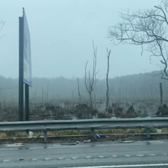 1000 lives in one night