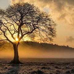 9 Crucial Breaths Focusing on Chanukah Healing - (9 minute meditation) - Rabbi Shlomo Katz