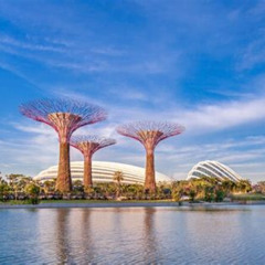 Review Special Price Private Singapore Night Tour With Gardens By The Bayriver Cruise