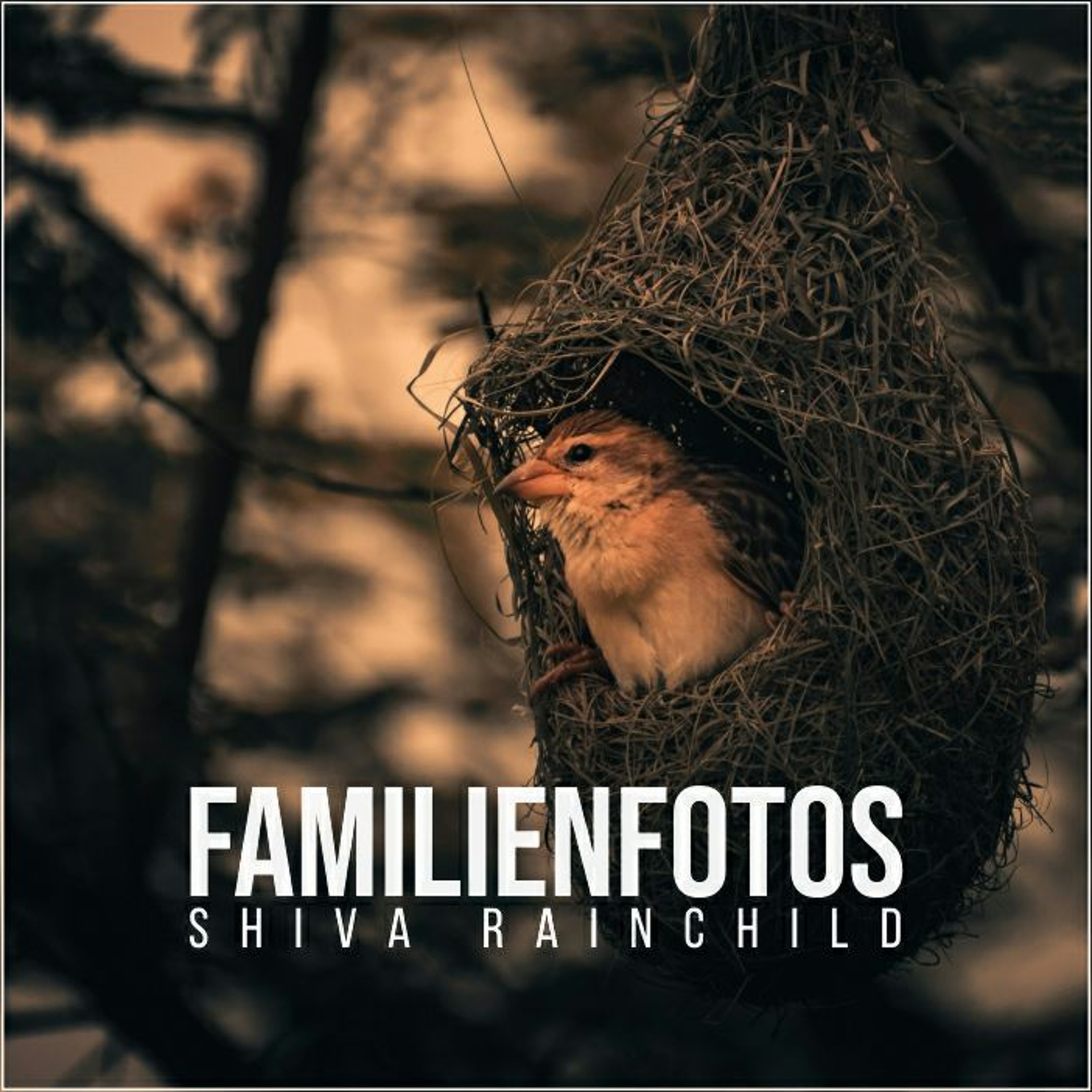 Familienfotos (prod. Stoupe) -RAW- episode artwork