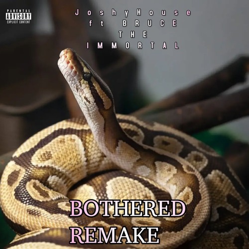 BOTHERED REMIX  with  Immortal BRUCE NO ADLIBS (Preview) (drops soon)