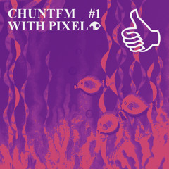 CHUNTFM #1 WITH PIXEL