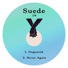 PREMIERE: Unknown Artist - Never Again [Suede18]