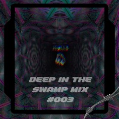 DEEP IN THE SWAMP MIX #003 (Blurrd Vzn, Distinct Motive, Shanghai Doom, & More)