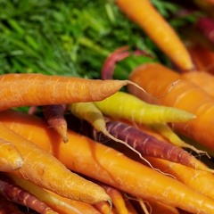 Small Magic Carrots