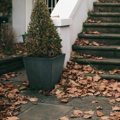 Eyes Of Auburn Gold Instrumental