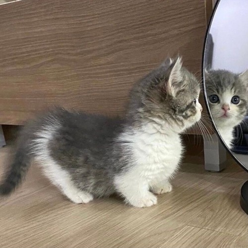 Drowning Nightmare(cover)w/hikachu