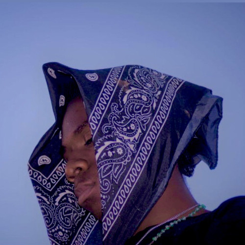 Can't Stop Won't Stop