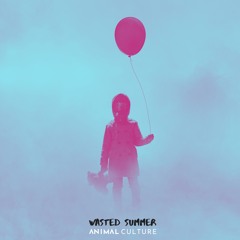 Wasted Summer