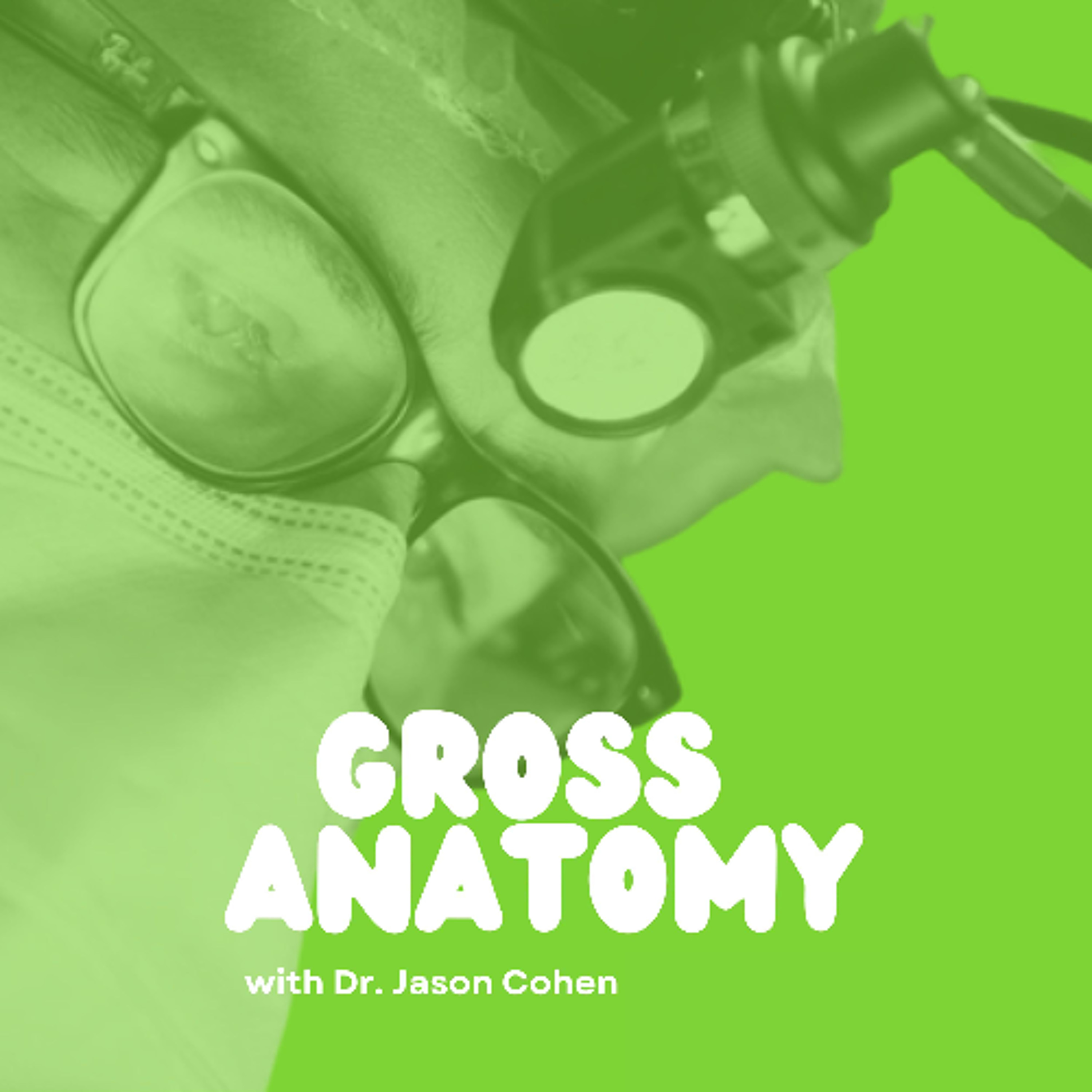 Gross Anatomy