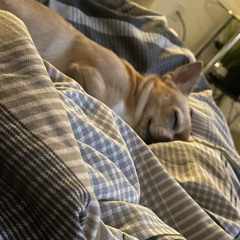 Judge You [prod. taurs x jackzorana x eli.yf]