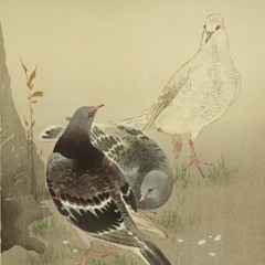 Hato Isshun