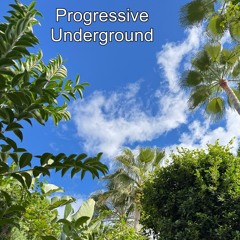 Dani-C - Progressive Underground @ Proton Radio 114 [Nov] 2024 Sc Edition