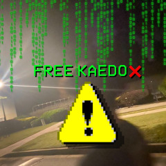 FreeKaedo(Prod. Bapeboyben)