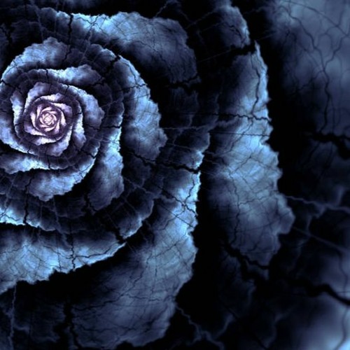 x Early in the evening x