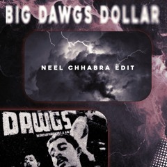 Big Dawgs Dollar (Neel Chhabra Mashup)