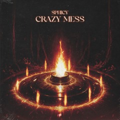 CRAZY MESS