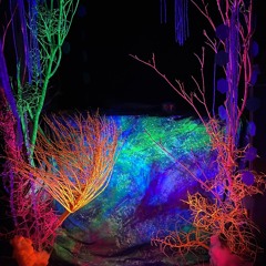 Charlotte's 40th Birthday Jan 27th 2023