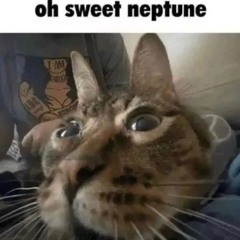 my epic totally not autistic and queer music playlist