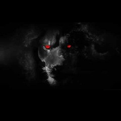 Cash Carti Shit x Savage D x Dexter