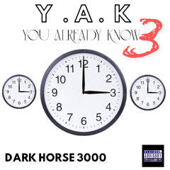 Y.A.K 3