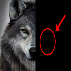 Tusovatsya (prod. @whyfiveee @glorykeyz)