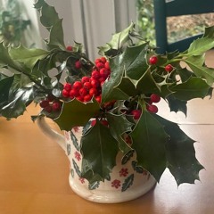 'Holly' by Seamus Heaney