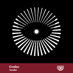 Codec (Incl. Roman Adam & Rauschhaus Remix) OUT NOW