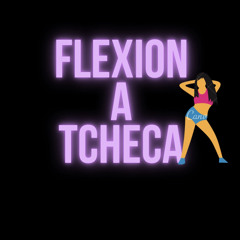 FLEXIONA A TCHECA (MC GUIZE DJ PINGUIMOFC)