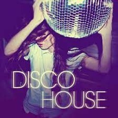 Disco House Vol.1