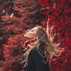 Wood Winds