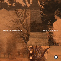 Broken Flowers