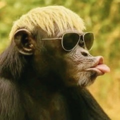 🔥 BKB MACARENA BANANA SPLIT JDM PLAT KT