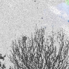 VERMIN X BNDT- SOMETHING OUT THERE