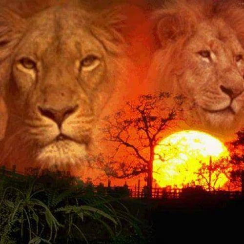 Y2mate.com - MARIAN HULPUS - DIN DRAGOSTE PENTRU TINE RDI5TIBfVP4