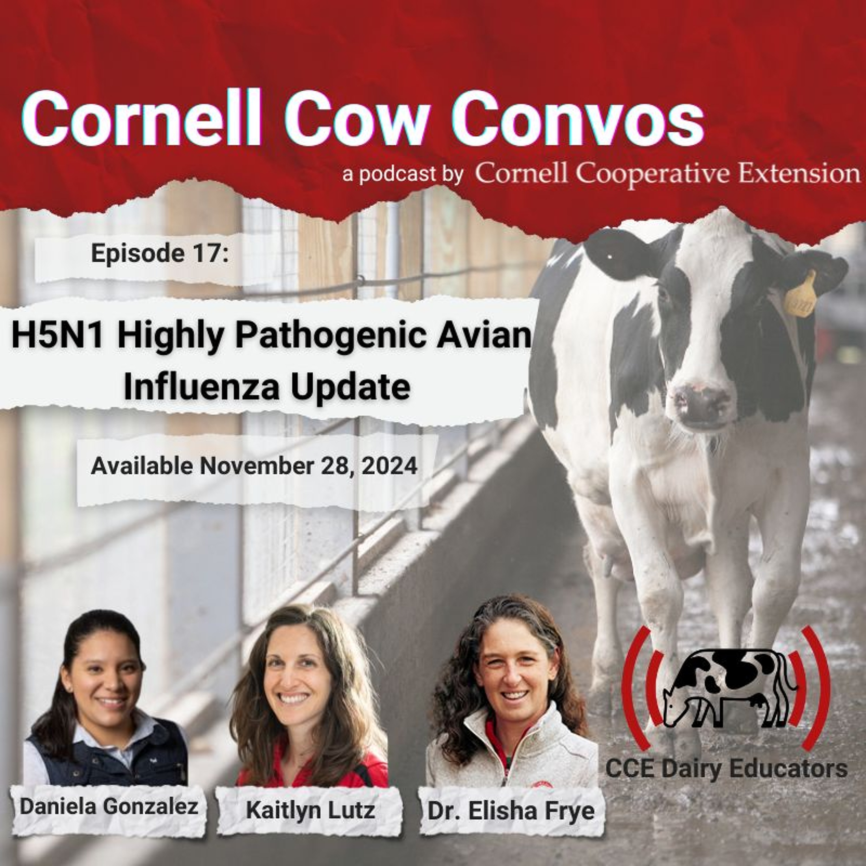 CCE DAIRY EDUCATORS