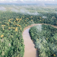 L'inventaire des Nouragues