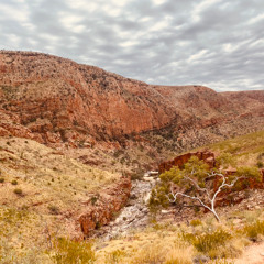 Chroma Vermona Canyon