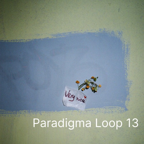 Paradigma Loop 13