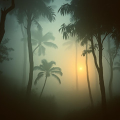 Vibration of Brazil’s Heart - Projeto Naves