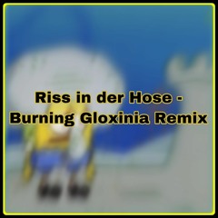 Riss in der Hose - Santiago Ziesmer - Burning Gloxinia Remix