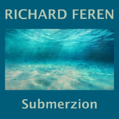 Submerzion