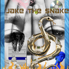 JaketheSnake - YGN LIL START